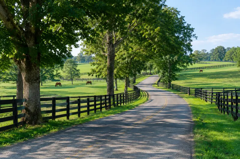 A two-lane country road running between black plank fences and green pasture