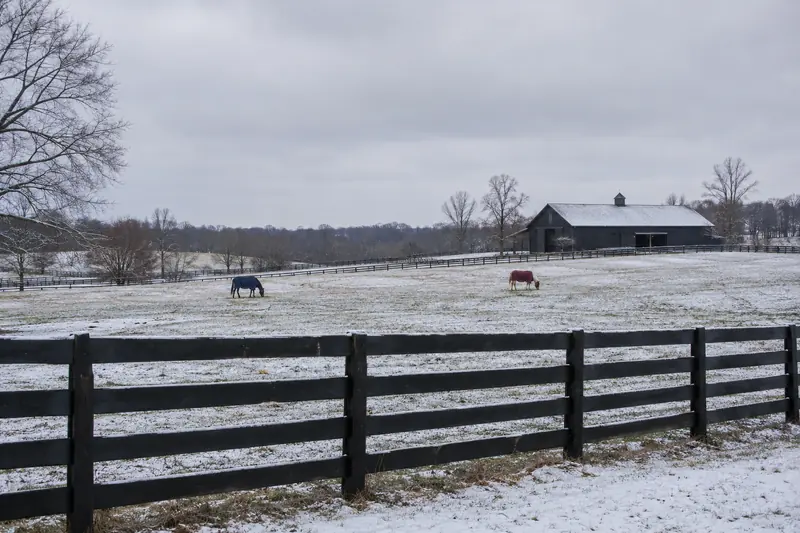 A black plank fence across a pasture under light snow, two horses and a dark barn far off beneath a gray sky